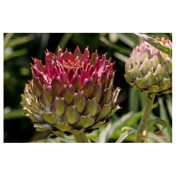 PHOTO84, CLUB, 84 , LUBERON